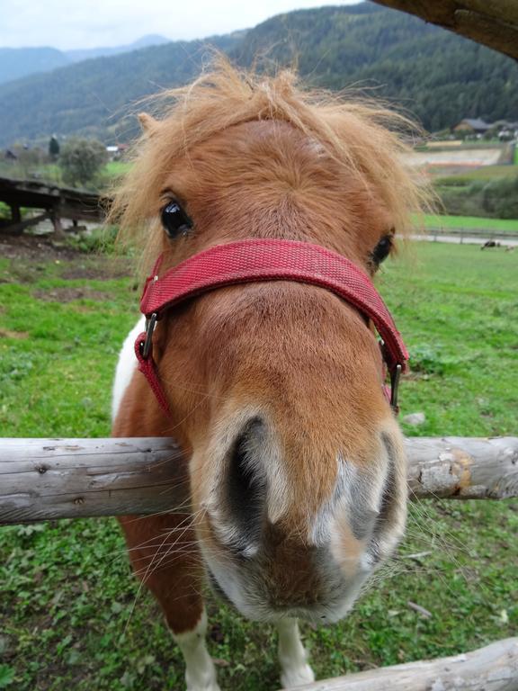 ואנדוייס Winnewieser מראה חיצוני תמונה