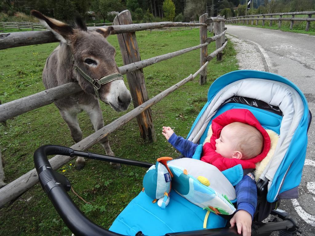 ואנדוייס Winnewieser מראה חיצוני תמונה